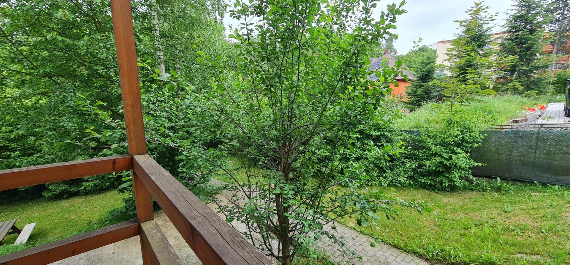 Apartmany Orlová Exteriör bild